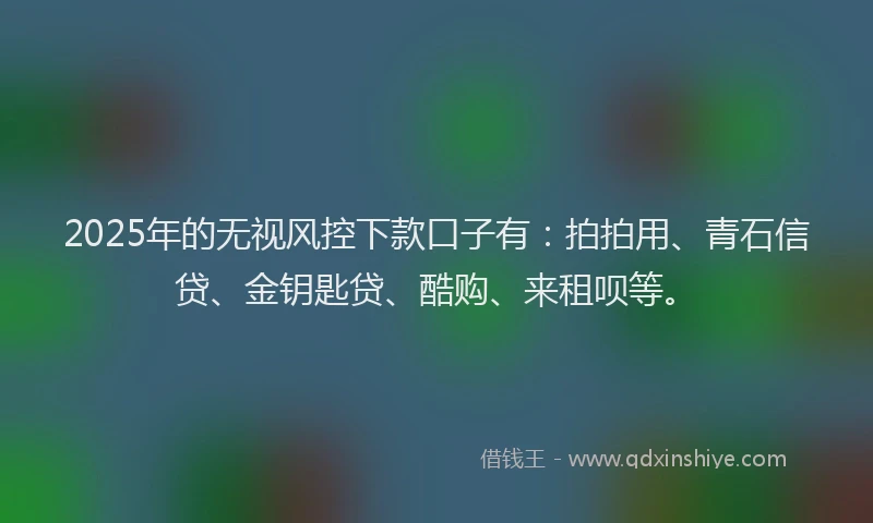 2025年的无视风控下款口子有：拍拍用、青石信贷、金钥匙贷、酷购、来租呗等。