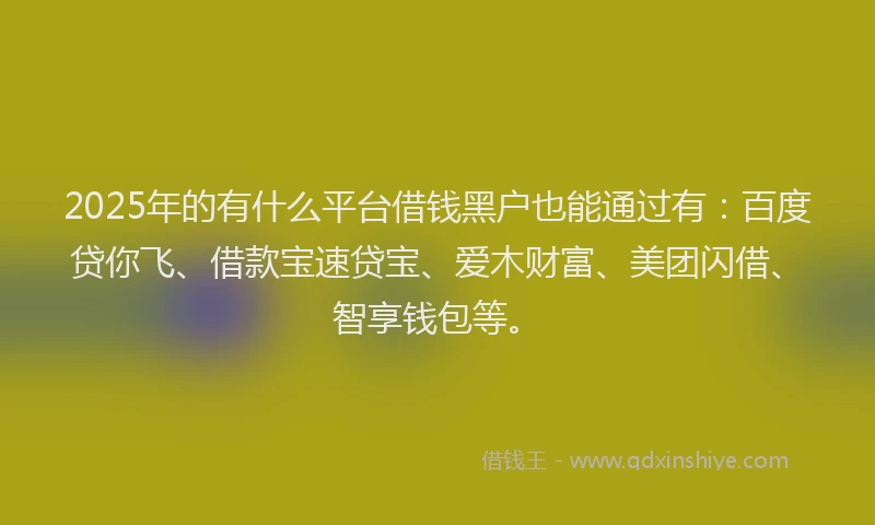 2025年的有什么平台借钱黑户也能通过有：百度贷你飞、借款宝速贷宝、爱木财富、美团闪借、智享钱包等。