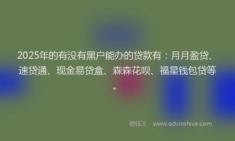 2025年的有没有黑户能办的贷款有：月月盈贷、速贷通、现金易贷盒、森森花呗、福星钱包贷等。
