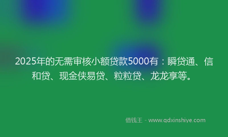 2025年的无需审核小额贷款5000有：瞬贷通、信和贷、现金侠易贷、粒粒贷、龙龙享等。
