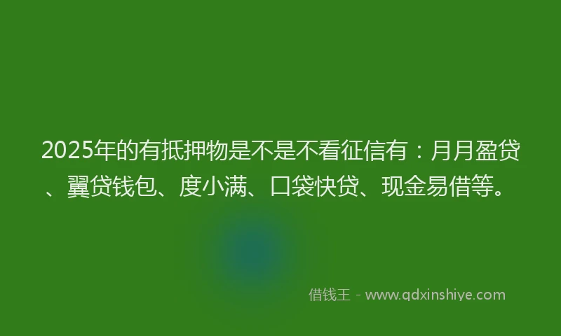 2025年的有抵押物是不是不看征信有：月月盈贷、翼贷钱包、度小满、口袋快贷、现金易借等。