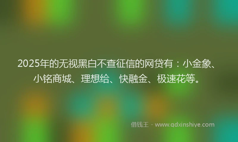 2025年的无视黑白不查征信的网贷有：小金象、小铭商城、理想给、快融金、极速花等。