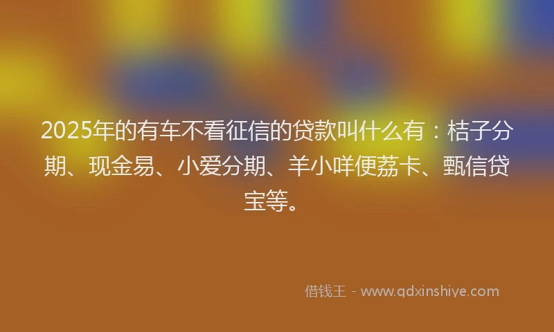 2025年的有车不看征信的贷款叫什么有：桔子分期、现金易、小爱分期、羊小咩便荔卡、甄信贷宝等。