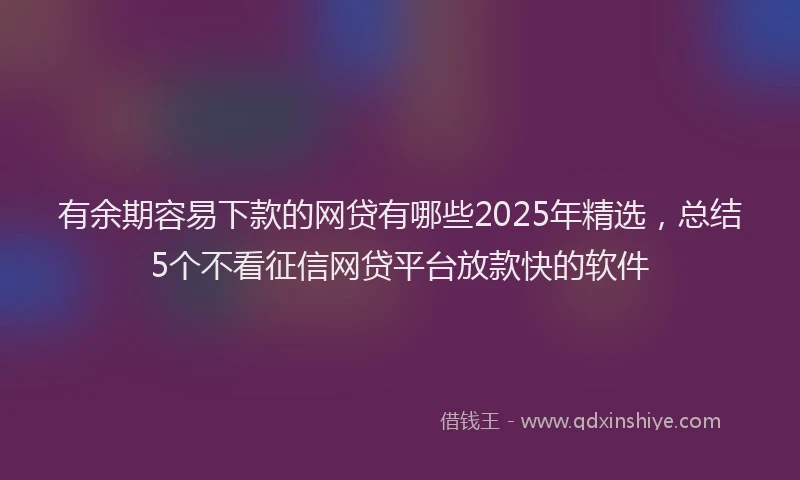 有余期容易下款的网贷有哪些2025年精选，总结5个不看征信网贷平台放款快的软件
