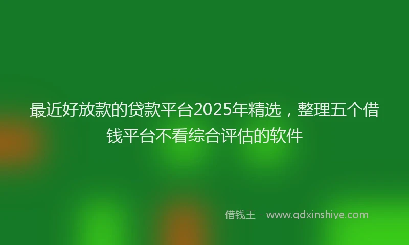 最近好放款的贷款平台2025年精选，整理五个借钱平台不看综合评估的软件