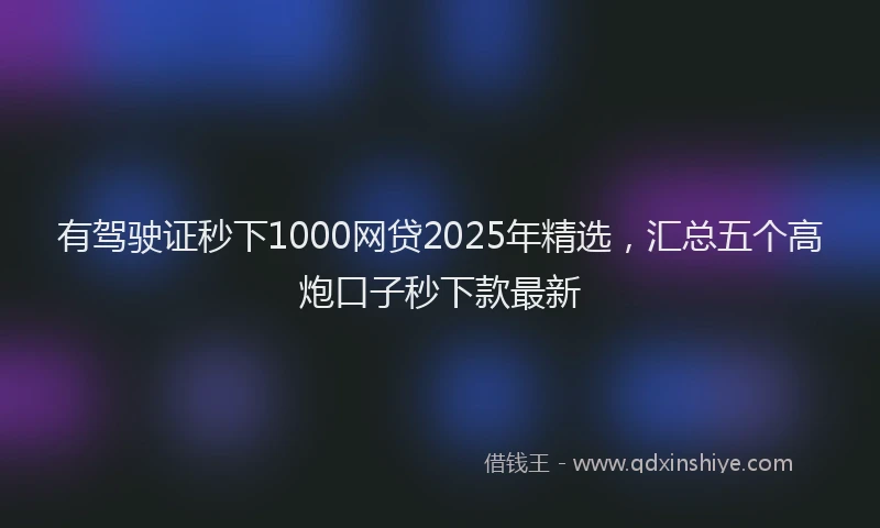 有驾驶证秒下1000网贷2025年精选，汇总五个高炮口子秒下款最新