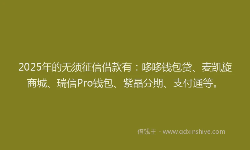 2025年的无须征信借款有：哆哆钱包贷、麦凯旋商城、瑞信Pro钱包、紫晶分期、支付通等。