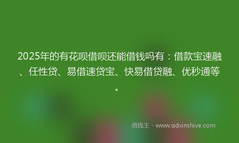 2025年的有花呗借呗还能借钱吗有：借款宝速融、任性贷、易借速贷宝、快易借贷融、优秒通等。