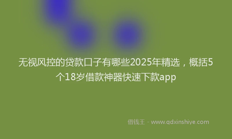 无视风控的贷款口子有哪些2025年精选，概括5个18岁借款神器快速下款app