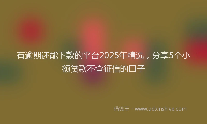有逾期还能下款的平台2025年精选，分享5个小额贷款不查征信的口子