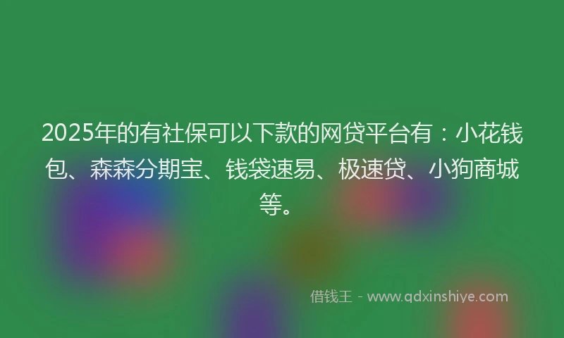 2025年的有社保可以下款的网贷平台有：小花钱包、森森分期宝、钱袋速易、极速贷、小狗商城等。