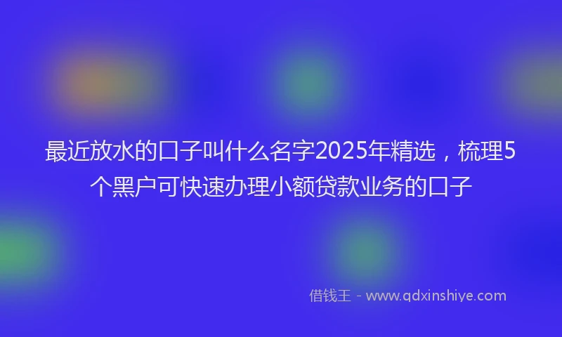 最近放水的口子叫什么名字2025年精选，梳理5个黑户可快速办理小额贷款业务的口子
