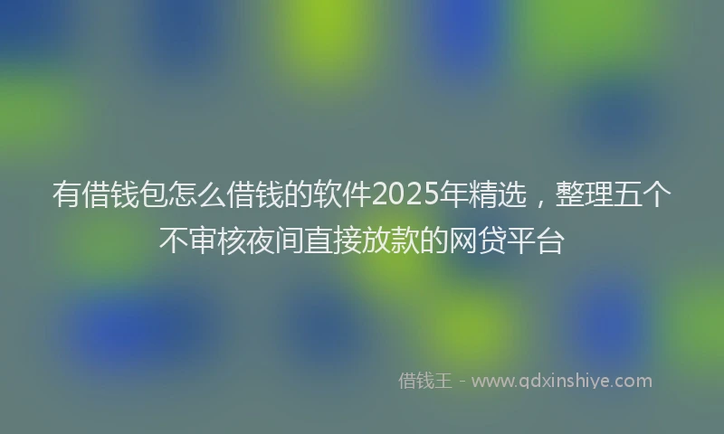 有借钱包怎么借钱的软件2025年精选，整理五个不审核夜间直接放款的网贷平台