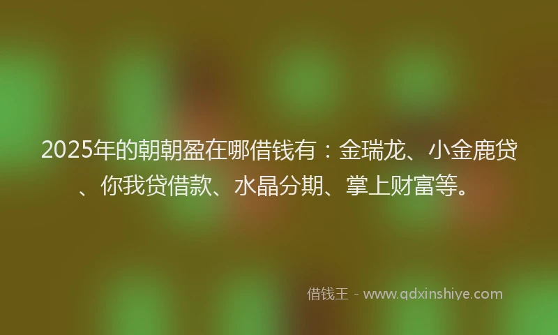 2025年的朝朝盈在哪借钱有：金瑞龙、小金鹿贷、你我贷借款、水晶分期、掌上财富等。