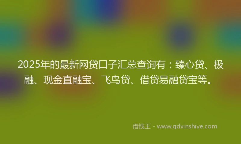 2025年的最新网贷口子汇总查询有：臻心贷、极融、现金直融宝、飞鸟贷、借贷易融贷宝等。