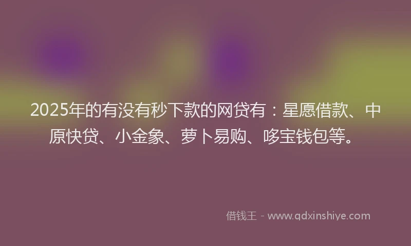 2025年的有没有秒下款的网贷有：星愿借款、中原快贷、小金象、萝卜易购、哆宝钱包等。