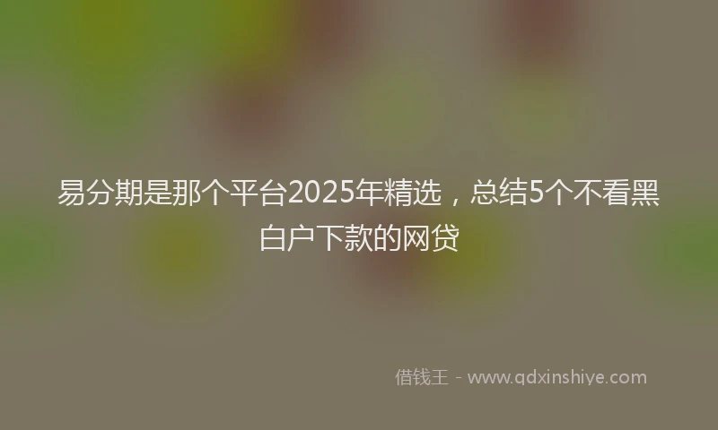 易分期是那个平台2025年精选，总结5个不看黑白户下款的网贷