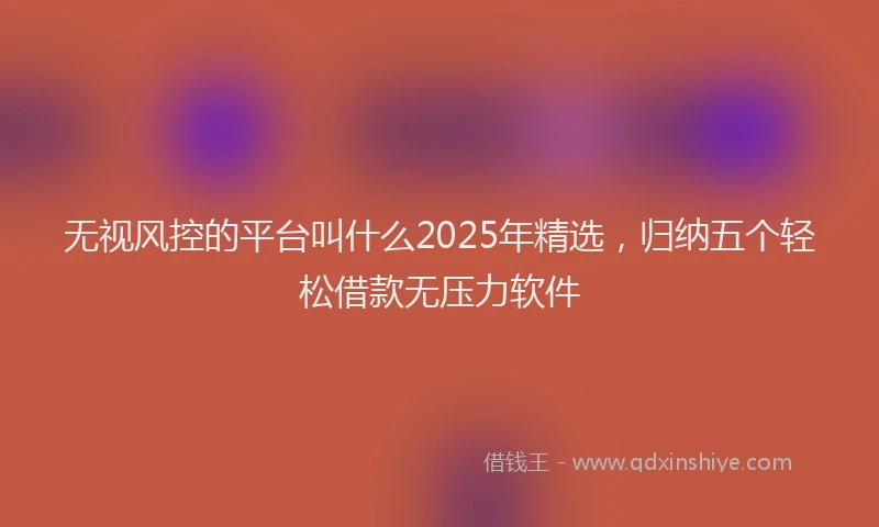无视风控的平台叫什么2025年精选，归纳五个轻松借款无压力软件