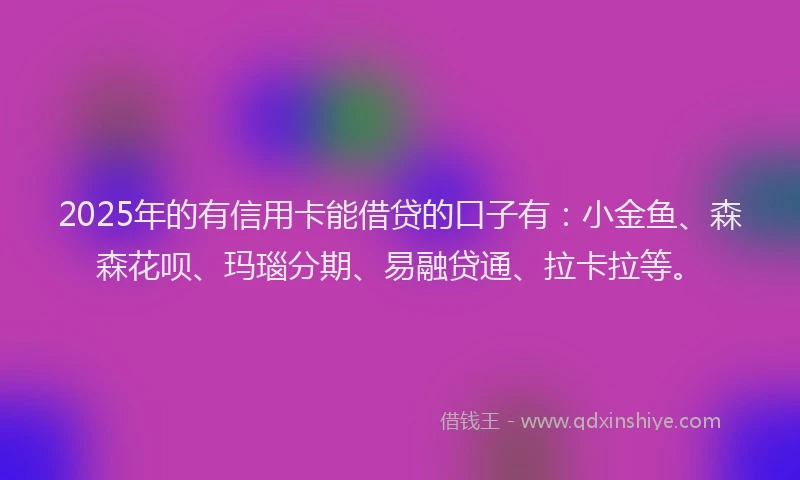 2025年的有信用卡能借贷的口子有：小金鱼、森森花呗、玛瑙分期、易融贷通、拉卡拉等。