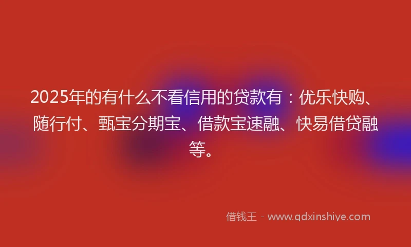 2025年的有什么不看信用的贷款有：优乐快购、随行付、甄宝分期宝、借款宝速融、快易借贷融等。