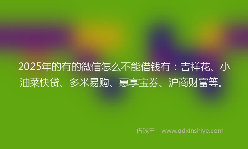 2025年的有的微信怎么不能借钱有：吉祥花、小油菜快贷、多米易购、惠享宝券、沪商财富等。