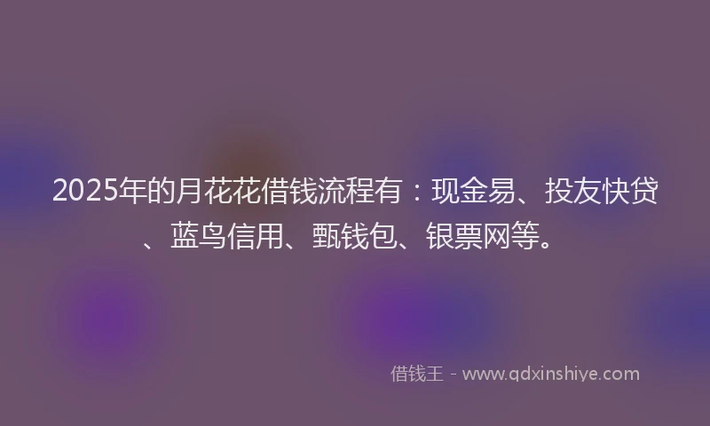 2025年的月花花借钱流程有：现金易、投友快贷、蓝鸟信用、甄钱包、银票网等。