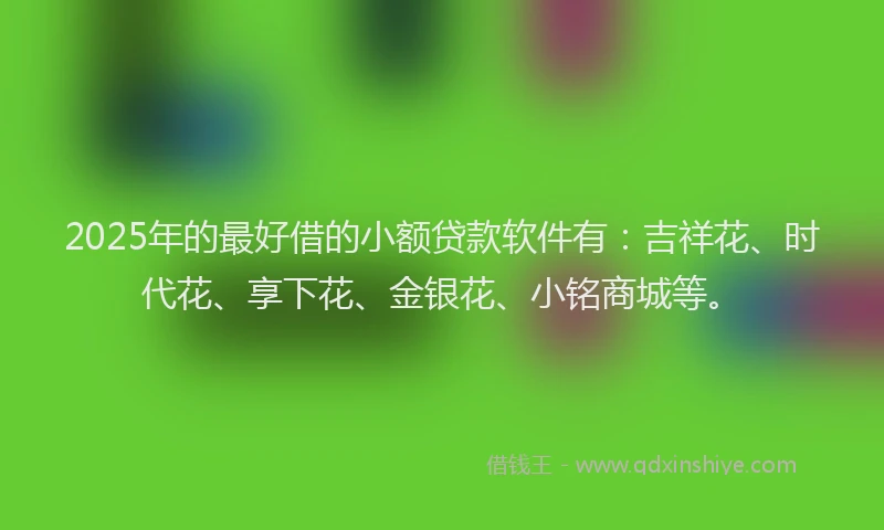 2025年的最好借的小额贷款软件有：吉祥花、时代花、享下花、金银花、小铭商城等。