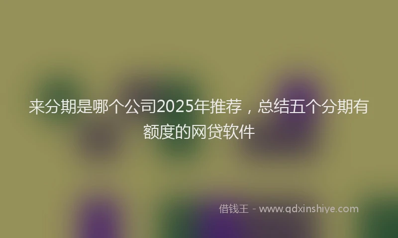 来分期是哪个公司2025年推荐，总结五个分期有额度的网贷软件