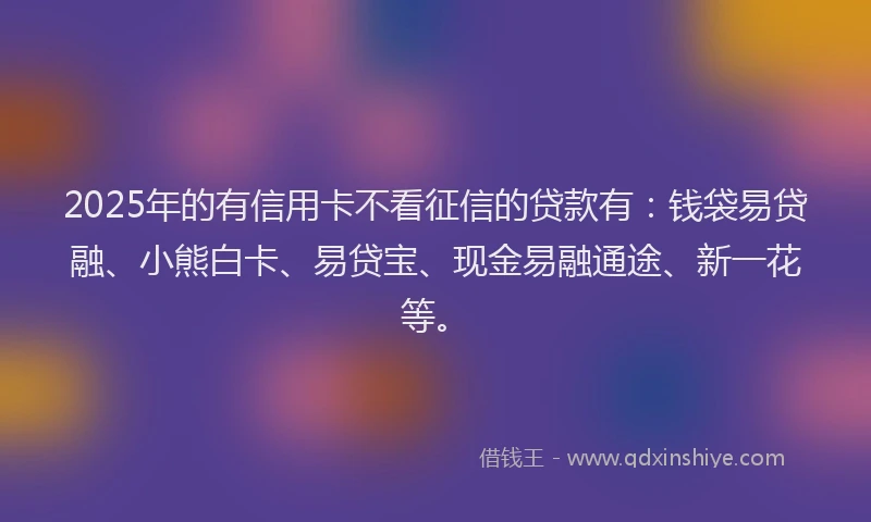 2025年的有信用卡不看征信的贷款有：钱袋易贷融、小熊白卡、易贷宝、现金易融通途、新一花等。