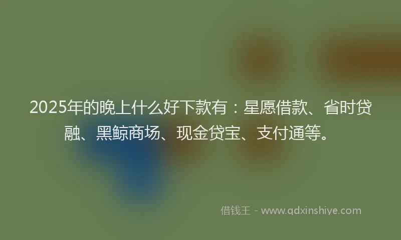 2025年的晚上什么好下款有：星愿借款、省时贷融、黑鲸商场、现金贷宝、支付通等。
