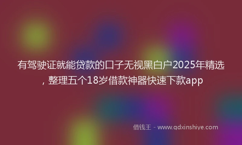 有驾驶证就能贷款的口子无视黑白户2025年精选，整理五个18岁借款神器快速下款app