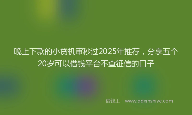 晚上下款的小贷机审秒过2025年推荐，分享五个20岁可以借钱平台不查征信的口子