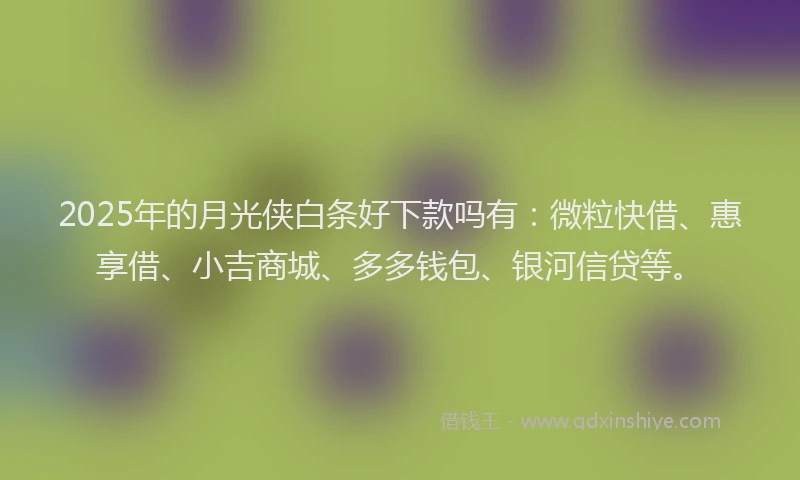 2025年的月光侠白条好下款吗有：微粒快借、惠享借、小吉商城、多多钱包、银河信贷等。