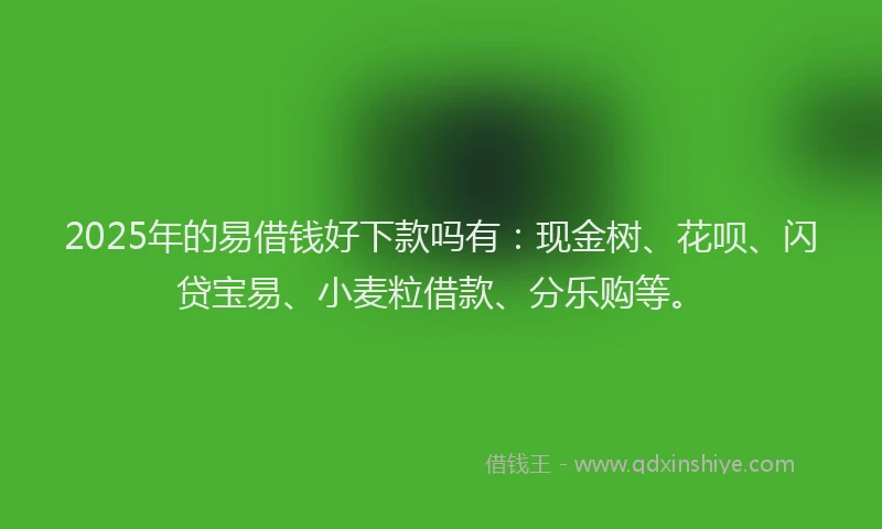 2025年的易借钱好下款吗有：现金树、花呗、闪贷宝易、小麦粒借款、分乐购等。