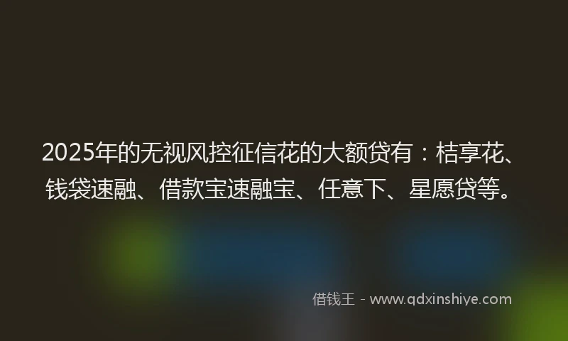 2025年的无视风控征信花的大额贷有：桔享花、钱袋速融、借款宝速融宝、任意下、星愿贷等。
