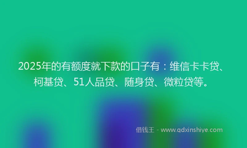 2025年的有额度就下款的口子有：维信卡卡贷、柯基贷、51人品贷、随身贷、微粒贷等。