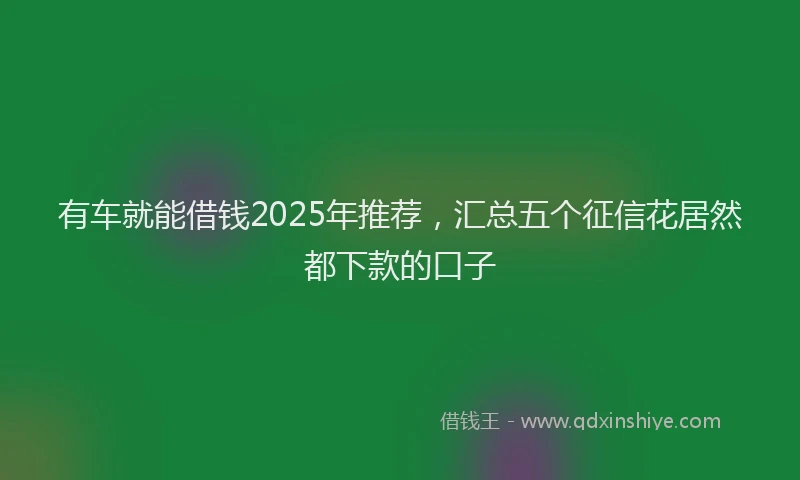 有车就能借钱2025年推荐，汇总五个征信花居然都下款的口子