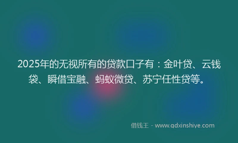 2025年的无视所有的贷款口子有：金叶贷、云钱袋、瞬借宝融、蚂蚁微贷、苏宁任性贷等。