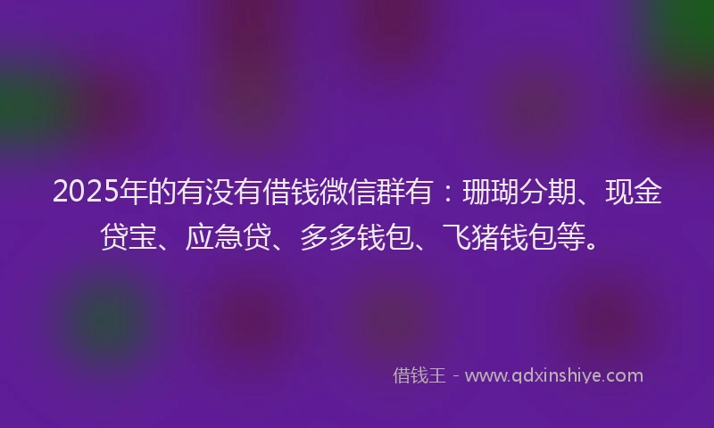 2025年的有没有借钱微信群有：珊瑚分期、现金贷宝、应急贷、多多钱包、飞猪钱包等。