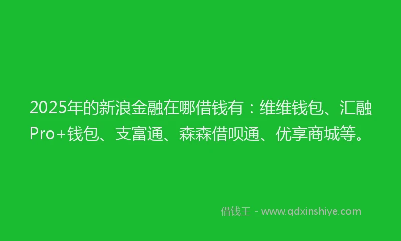 2025年的新浪金融在哪借钱有：维维钱包、汇融Pro+钱包、支富通、森森借呗通、优享商城等。