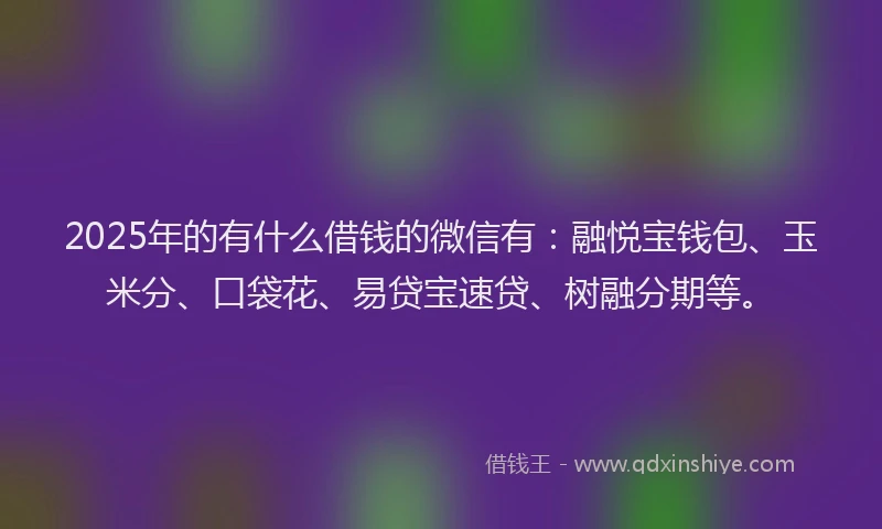 2025年的有什么借钱的微信有：融悦宝钱包、玉米分、口袋花、易贷宝速贷、树融分期等。