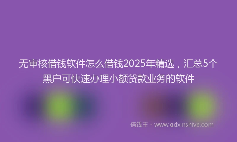 无审核借钱软件怎么借钱2025年精选，汇总5个黑户可快速办理小额贷款业务的软件
