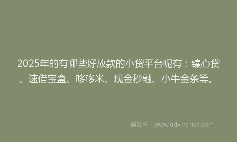2025年的有哪些好放款的小贷平台呢有：臻心贷、速借宝盒、哆哆米、现金秒融、小牛金条等。