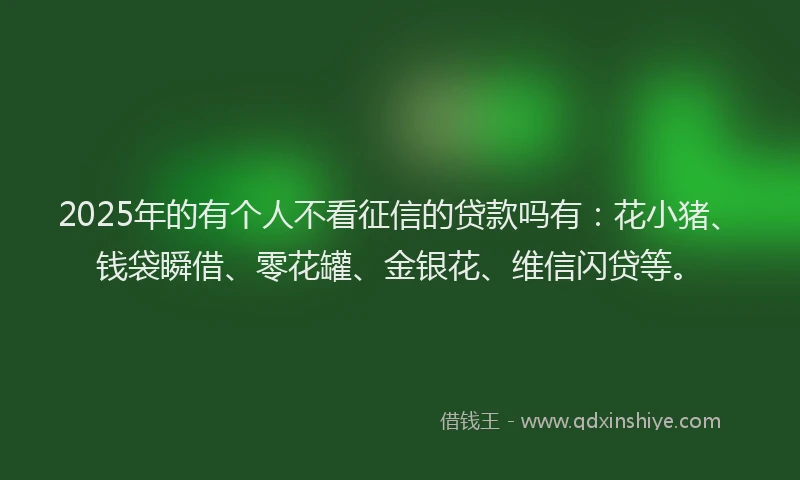 2025年的有个人不看征信的贷款吗有：花小猪、钱袋瞬借、零花罐、金银花、维信闪贷等。