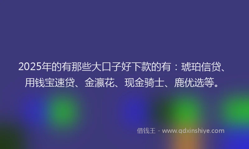 2025年的有那些大口子好下款的有：琥珀信贷、用钱宝速贷、金瀛花、现金骑士、鹿优选等。