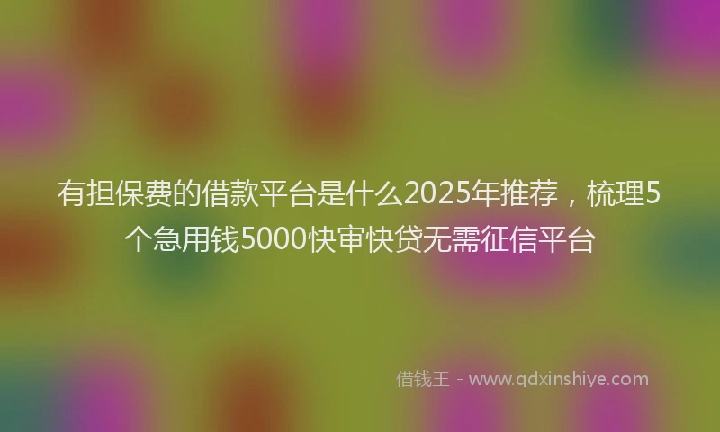 有担保费的借款平台是什么2025年推荐，梳理5个急用钱5000快审快贷无需征信平台