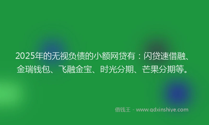 2025年的无视负债的小额网贷有：闪贷速借融、金瑞钱包、飞融金宝、时光分期、芒果分期等。