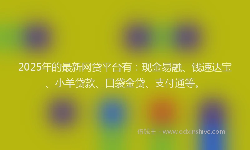2025年的最新网贷平台有：现金易融、钱速达宝、小羊贷款、口袋金贷、支付通等。