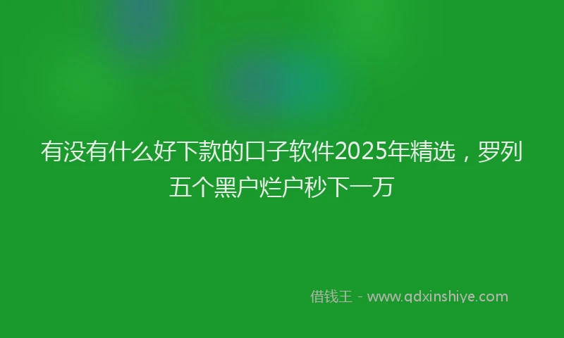 有没有什么好下款的口子软件2025年精选，罗列五个黑户烂户秒下一万