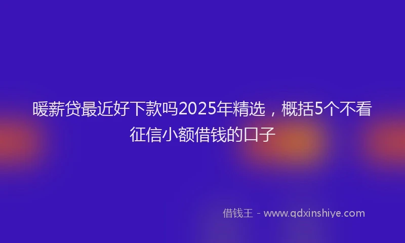 暖薪贷最近好下款吗2025年精选，概括5个不看征信小额借钱的口子